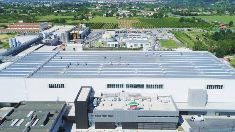 Cesena, l'obiettivo green di Amadori: il 50 energia da fonti rinnovabili entro il 2025