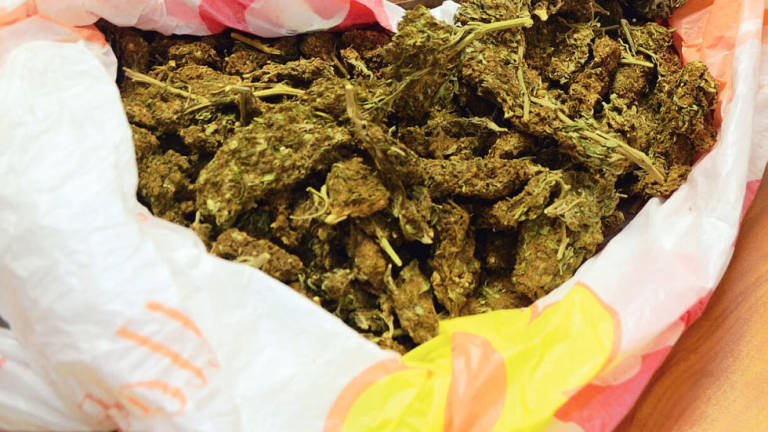 8kg di marijuana nascosti in valigie. Arrestati due operai forlivesi