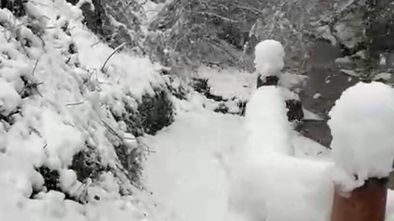 Meteo Romagna, l’Appennino imbiancato: oltre mezzo metro di neve sopra gli 800 metri VIDEO