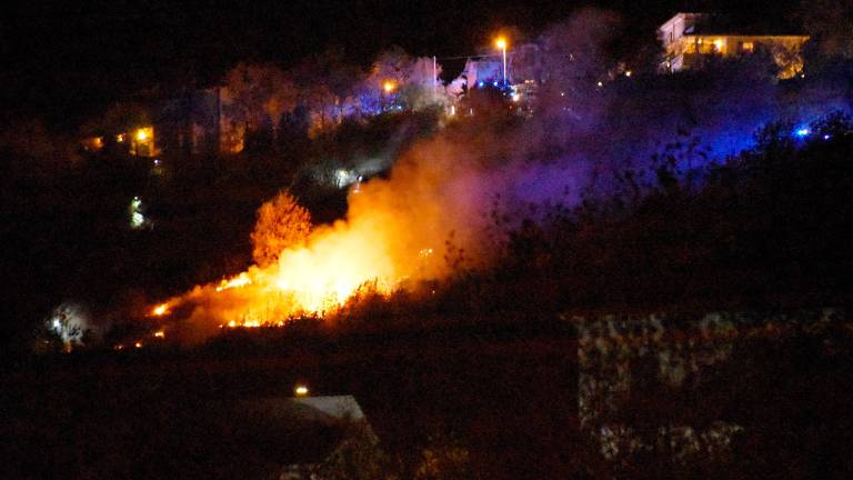 Foto e video Migliorini