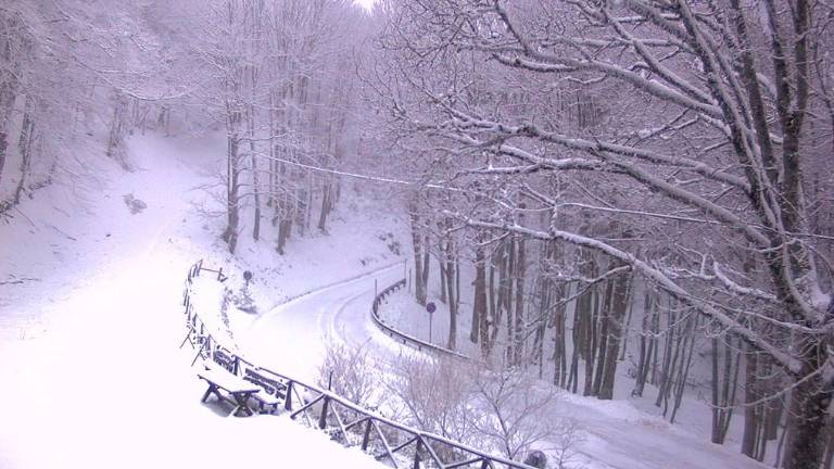 Lo chalet Burraia a Campigna