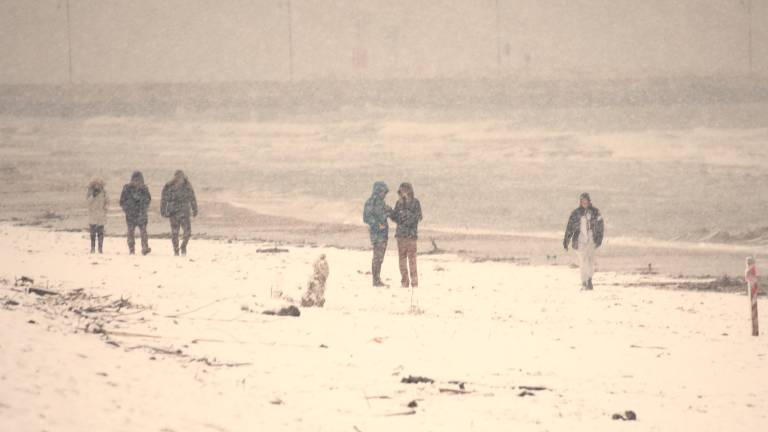 Rimini sotto la neve, la spiaggia è un parco giochi FOTOGALLERY Migliorini