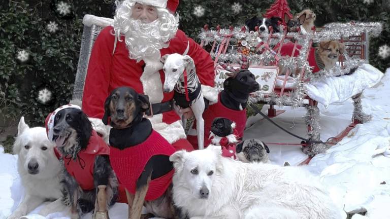 Castrocaro, uno scatto con il tuo cane: torna il concorso fotografico di Natale. Ecco come iscriversi