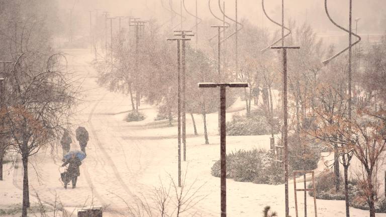 Rimini sotto la neve, la spiaggia è un parco giochi FOTOGALLERY Migliorini