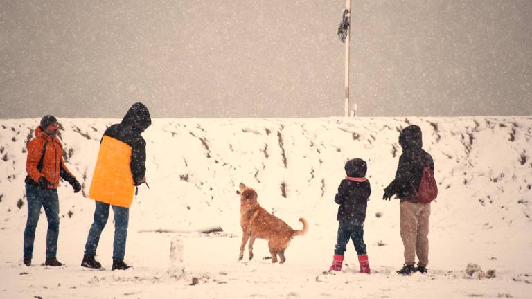 Rimini sotto la neve, la spiaggia è un parco giochi FOTOGALLERY Migliorini