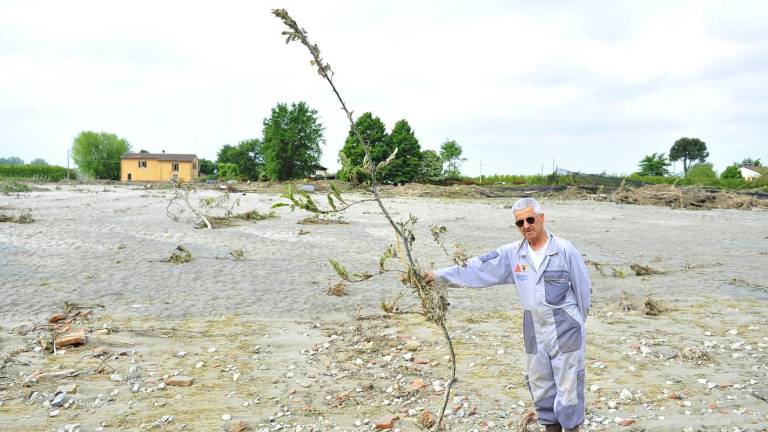Un campo di mele di 12mila metri quadrati che non esiste più: la furia dell'alluvione a Boncellino VIDEO