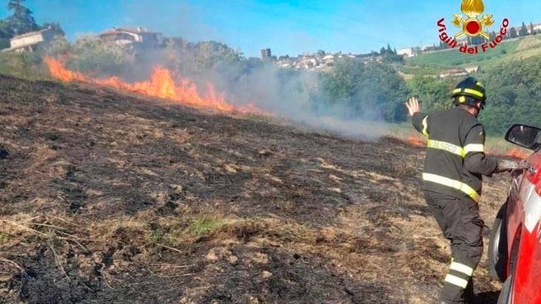Longiano, incendio in un campo agricolo
