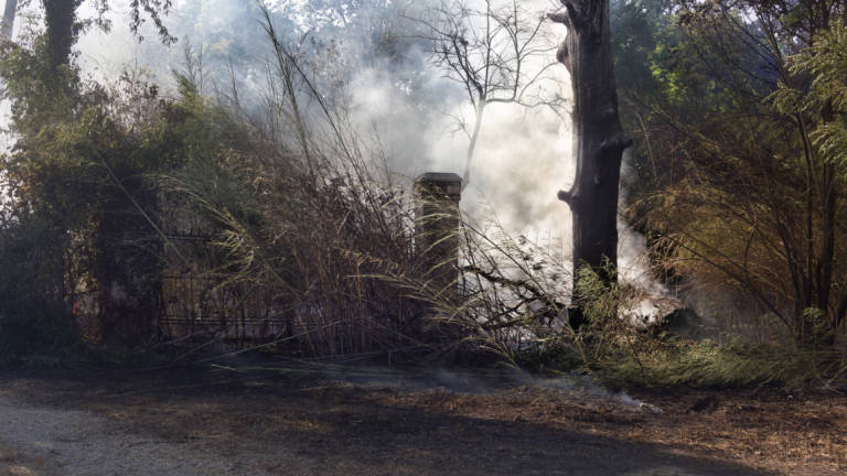 Ravenna, a fuoco il bosco di una villa: anche l'elicottero per salvarla - Gallery
