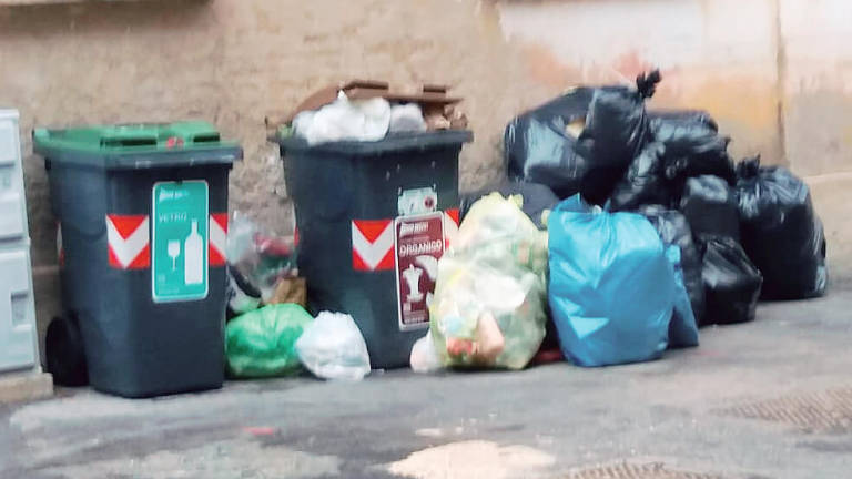 Nuovi impianti di fototrappole contro l’abbandono di rifiuti a Faenza