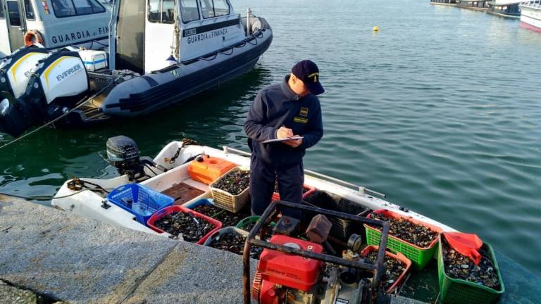 Sorpresi a pescare vongole nel porto di Ravenna, sequestrati 300 kg di molluschi