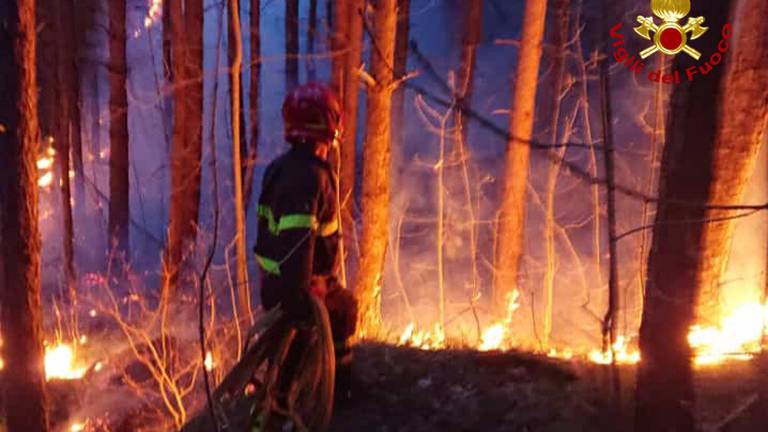 Domato nella notte l'incendio nel bosco a Portico San Benedetto