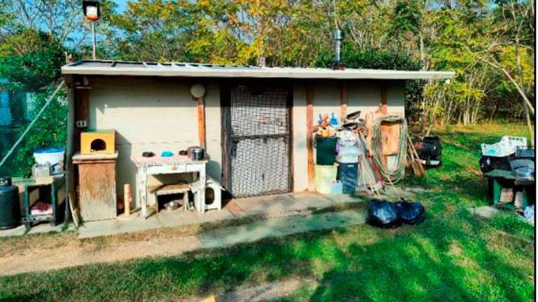 Il rifugio felino nella Pialassa di Marina di Ravenna