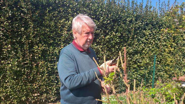 L’ex ministro del Lavoro Poletti tra Bubano e Cesena: “Faccio il volontario e curo frutteti e rose”