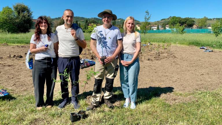 #getAltImage_v1($tempImage)