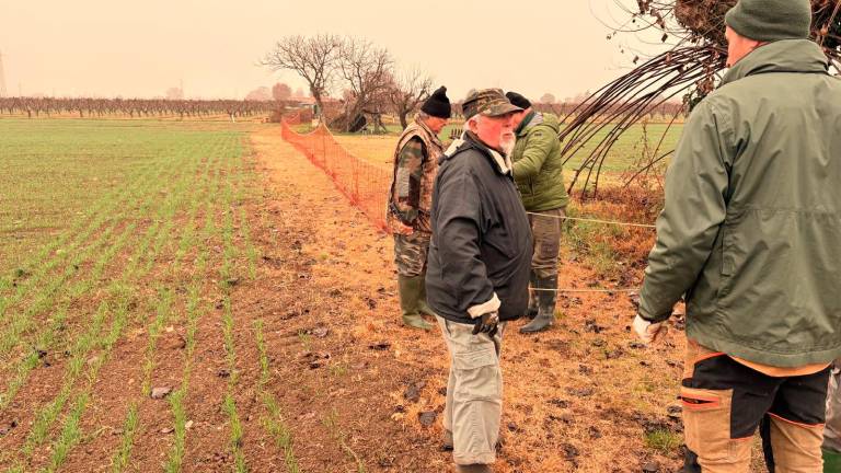 La cattura delle lepri