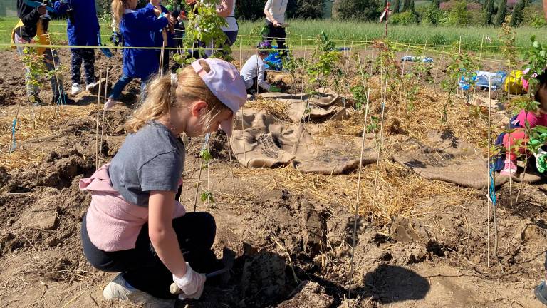 Cesena, nasce una microforesta grazie ai bambini della scuola primaria di San Vittore