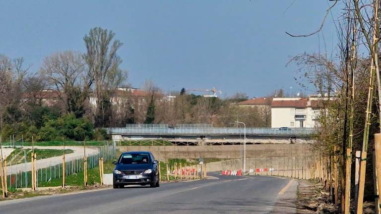 Faenza, piantati 382 nuovi alberi. Ecco dove saranno messi a dimora i prossimi