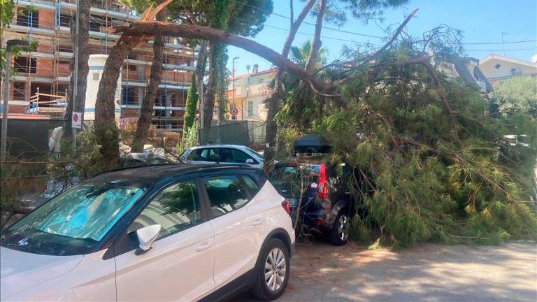 Maltempo e vento forte a Riccione, danni alle auto parcheggiate