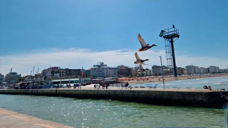 Riccione, guasto alla draga: revocato il divieto di balneazione a ridosso del porto canale