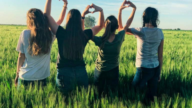 Ravenna, censimento: 3.527 famiglie coinvolte