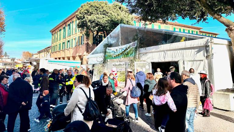 Fiera dell’Oliva a Coriano: weekend di degustazioni, olio nuovo e tradizione