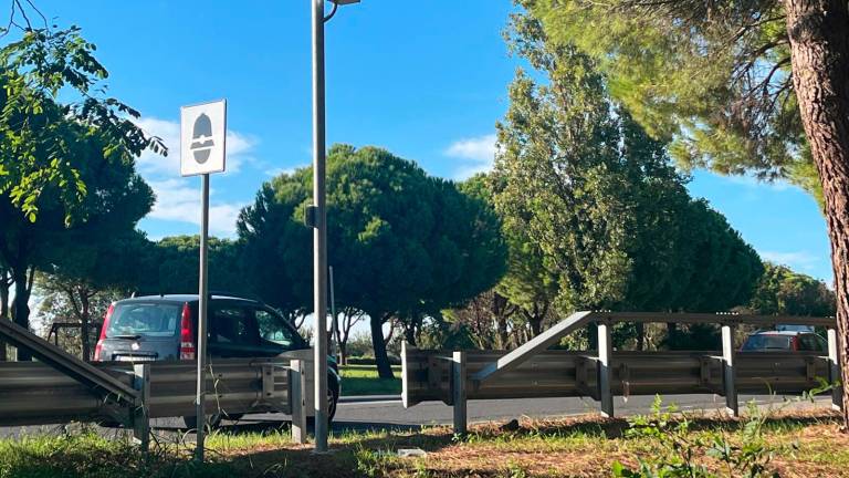 L’autovelox che sta facendo infuriare gli automobilisti riccionesi