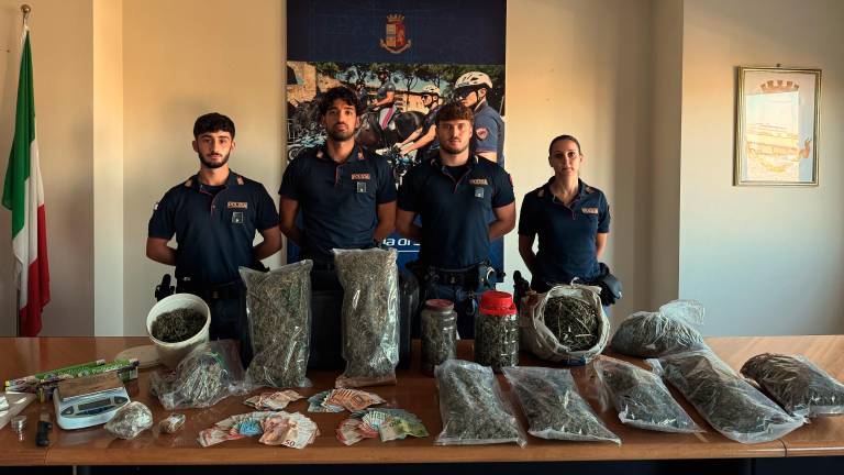 Ravenna. Maxi sequestro di droga: arrestate tre persone per 7,5 kg di marijuana