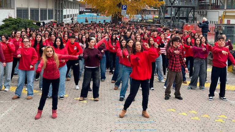 Foto e video Zanotti