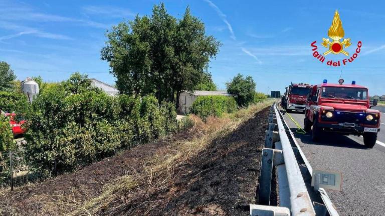 Il terreno bruciato a lato del guardrail