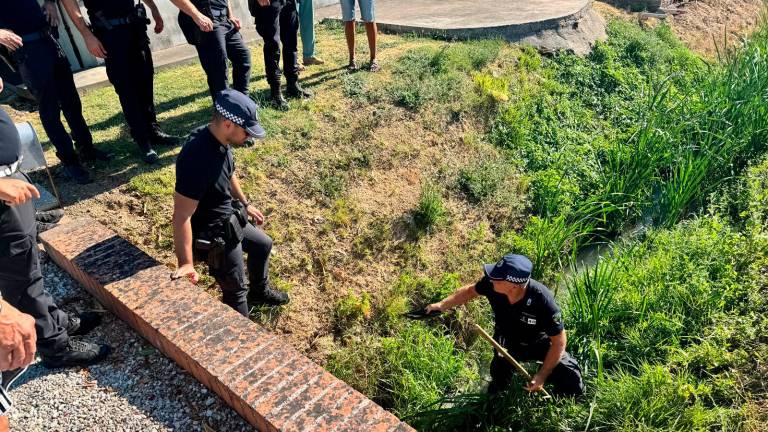 Gli accertamenti della polizia locale, intervenuta sul posto