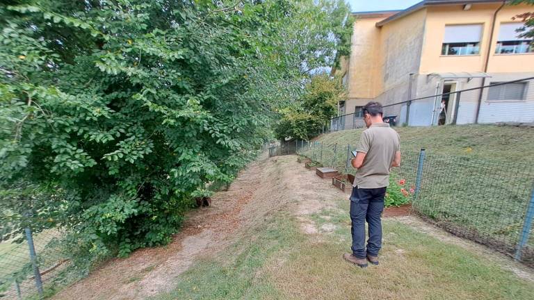 Un particolare della scuola primaria Saiano