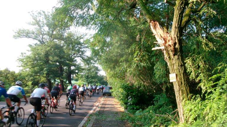 Maltempo nel cesenate: condominio “sbucciato” dal forte vento FOTOGALLERY