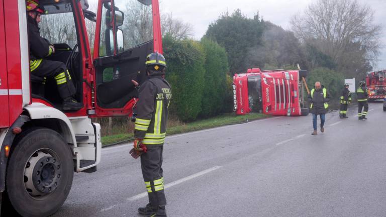 Ravenna, si ribalta camion di maiali, caos traffico. Urla degli animali schiacciati nel vano di carico GALLERY