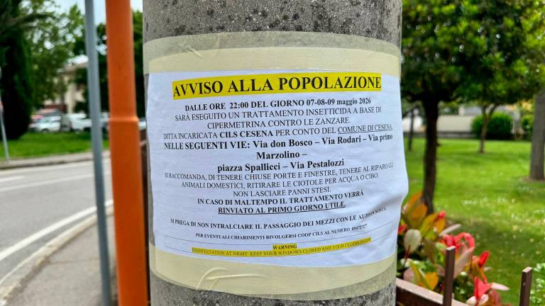 I cartelli affissi ieri (Zanotti)