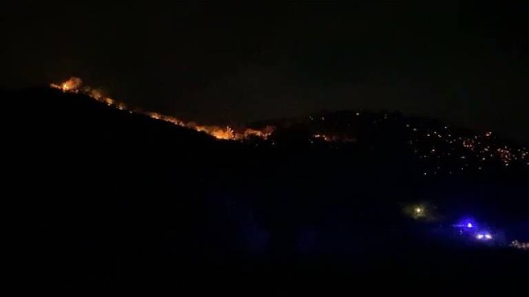 Borghi, vasto incendio nel bosco: vigili del fuoco in azione - VIDEO