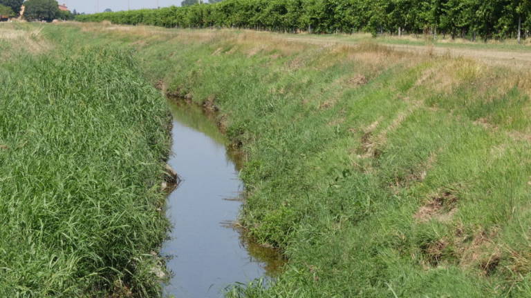 Imola, vietato l'uso dell'acqua del Gambellara per irrigare