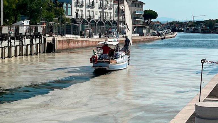 A sinistra mucillagini a Cesenatico in una foto di fine luglio 2024, sopra un cogollo da seppia pieno di mucillagini
