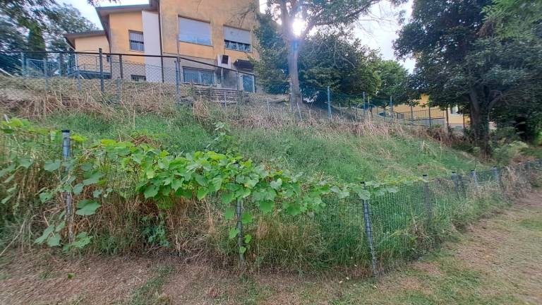 Scuola primaria Saiano