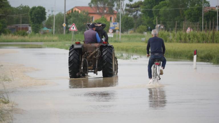 Godo, Villanova, San Pancrazio e Russi: l'acqua sale e la gente mette le auto al riparo - Gallery