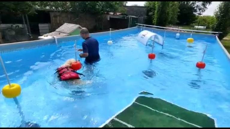 Swim dog: a Casemurate ecco gli sport acquatici per cani VIDEO