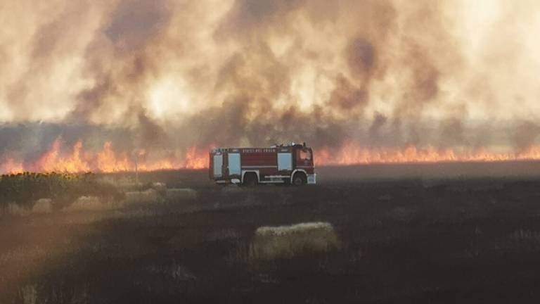 Due vasti incendi nei campi mettono Ravenna in allarme