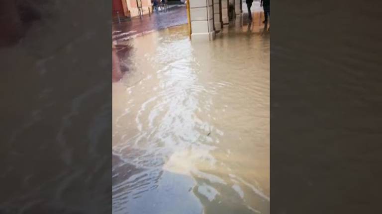 Il centro di Medicina questa mattina / VIDEO