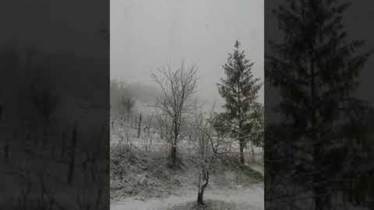 Grandine e danni a Cesena, neve in Valle Savio - VIDEO