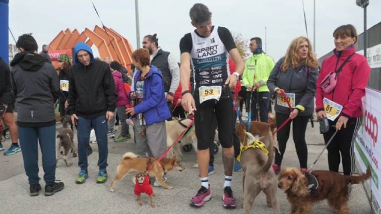 Ravenna, la gioiosa corsa con i cani nel sabato della Maratona VIDEO