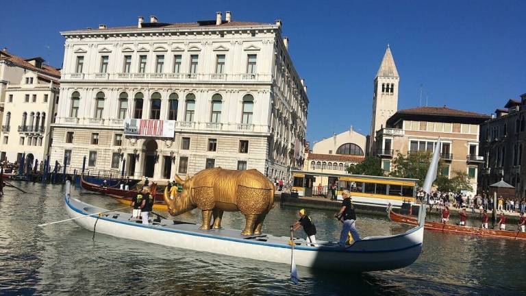 Il rinoceronte di Rimini alla regata storica di Venezia