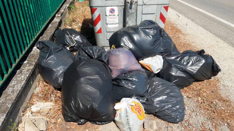 Cesena, ben 394 multe in 8 mesi per abbandono di rifiuti: “Il problema è sentito, grazie ai cittadini per le segnalazioni”