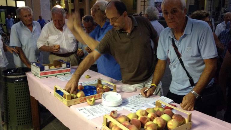 A Massa Lombarda torna la festa della pesca del buco incavato