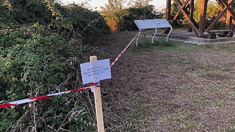 Moria di uccelli a Ravenna, sotto sequestro alcune aree della valle