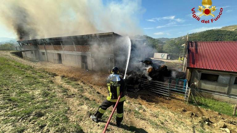 Predappio. Incendio distrugge capannone pieno di rotoballe: 7 squadre di vigili del fuoco al lavoro per domare le fiamme