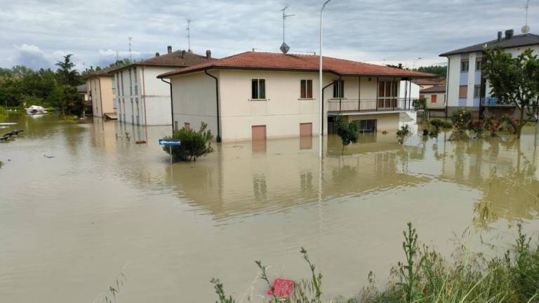 Acqua nelle case, come ripristinare gli edifici: incontro a Forlì e Cesena, il link per seguirlo in streaming